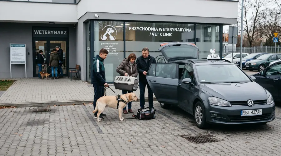 Przewóz zwierząt Żywiec – Mężczyzna z psem na smyczy i transporterem przed wejściem do przychodni weterynaryjnej, obok stoi taksówka